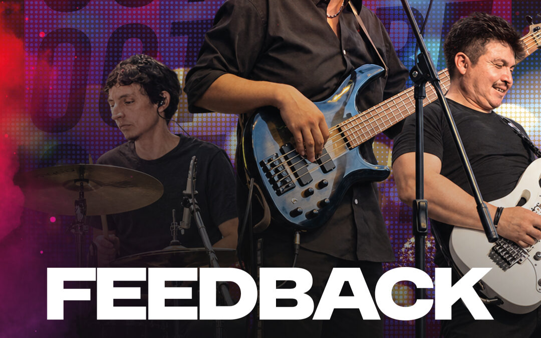Feedback